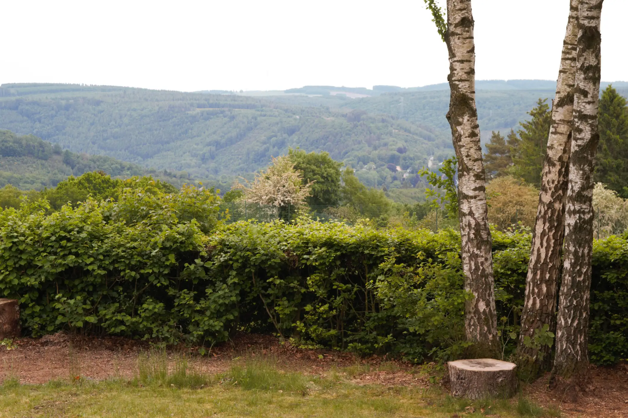 Cottage for 5 people in La Roche-en-Ardenne Le Chalet Pointu du Bout du Monde